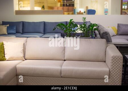 Das Innere des Raumes. Beige großes Sofa mit Kissen, Blumen im Hintergrund. Möbelgeschäft. Stockfoto