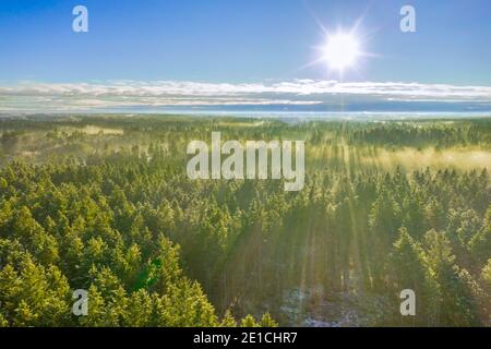 Drohne Foto von nebligen Sonnenaufgang über dem Wald, goldenes Sonnenlicht mit Strahlen und Schatten. Stockfoto