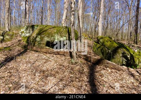 Frühlingslandschaft mit großen Felsbrocken im Wald am Cooper Hollow State Park in der Nähe von Jackson, Ohio. Stockfoto