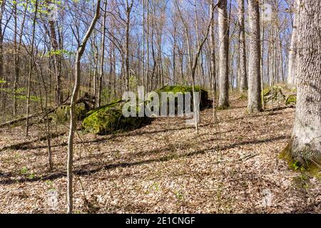 Frühlingslandschaft mit großen Felsbrocken im Wald am Cooper Hollow State Park in der Nähe von Jackson, Ohio. Stockfoto