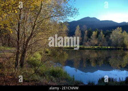 Schöner See in Balzers in Liechtenstein 17.11.2020 Stockfoto