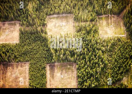 Borealer Wald gefällten Bäume klar zu machen für einen neuen tar sands Mine nördlich von Fort McMurray, Alberta, Kanada. Die Alberta tar sands sind das größte i Stockfoto