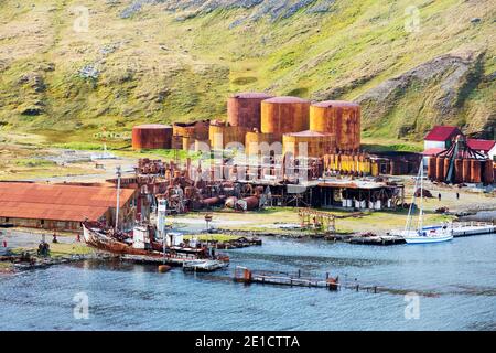 Bei der alten Walfangstation Grytviken auf Südgeorgien. In seinen 58 Jahren des Betriebes, es behandelt bei 53.761 geschlachteten Wale, Produktion von 455.000 Tonnen w