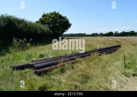 Hölzerne Telegraph Polen in einem Feld in West Sussex Stockfoto