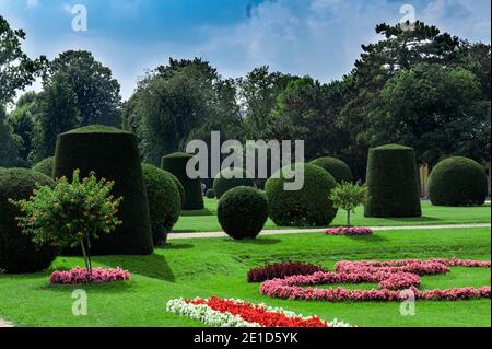 Geometrische Formen aus grünen Büschen im Park Stockfoto