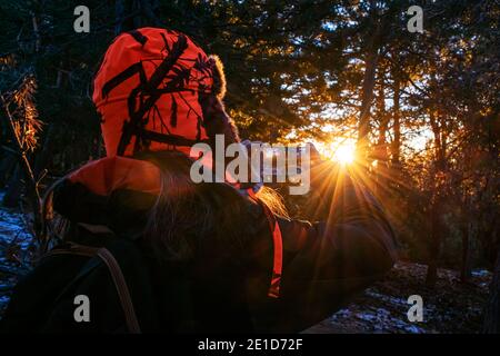 Wanderer mit Hut für die Kälte des Winters in den Bergen fotografieren den Sonnenaufgang mit seinem Handy aus einem Wald, mit der Sonne zu schaffen Stockfoto