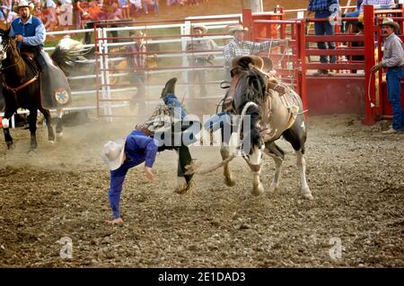 Cowboys konkurrieren in Rodeo Aktion Stockfoto