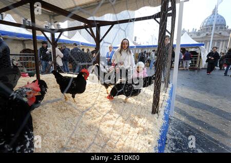 Pferde, Kühe, Hühner, Schweine, Enten und Schiffe tropften am 17,2011. Januar auf dem Petersplatz im Vatikan auf der Suche nach dem Segen zum Tag des heiligen Antonius für den schutzpatron der Tiere. Jedes Jahr nimmt der italienische Züchterverein an diesem traditionellen Fest vor dem Petersdom Teil. Der 17. Januar markiert den Tag des heiligen Antonius des Abtes, des offiziellen schutzpatrons der Tiere und des traditionellen Segens der Tiere. FOTO von Eric Vandeville/ABACAPRESS.COM Stockfoto