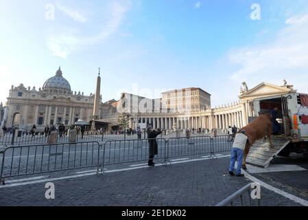 Pferde, Kühe, Hühner, Schweine, Enten und Schiffe tropften am 17,2011. Januar auf dem Petersplatz im Vatikan auf der Suche nach dem Segen zum Tag des heiligen Antonius für den schutzpatron der Tiere. Jedes Jahr nimmt der italienische Züchterverein an diesem traditionellen Fest vor dem Petersdom Teil. Der 17. Januar markiert den Tag des heiligen Antonius des Abtes, des offiziellen schutzpatrons der Tiere und des traditionellen Segens der Tiere. FOTO von Eric Vandeville/ABACAPRESS.COM Stockfoto