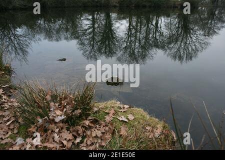 Le Corps de Laetitia Perrais, disparue depuis deux semaines, a été retrouvé mardi dépecé dans un Plan d'Eau situé sur la commune de Lavau-sur-Loire, Loire-Atlantique, Frankreich, le 1er Fevrier 2011. Son autopsie a montré qu'elle était morte étranglée. Foto von ABACAPRESS.COM Stockfoto