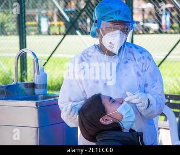 Bogota, Kolumbien. Januar 2021. Eine Krankenschwester fügt einen Tupfer in die Nase einer Person, die einen PCR-Test für covid 19 Credit: Daniel Garzon Herazo / ZUMA Wire / Alamy Live News Stockfoto