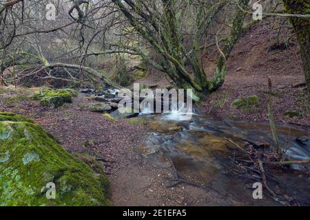 details de arroyo producido por el deshielo en las montañas Stockfoto