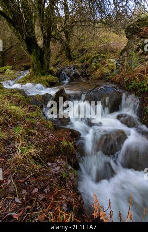 details de arroyo producido por el deshielo en las montañas Stockfoto