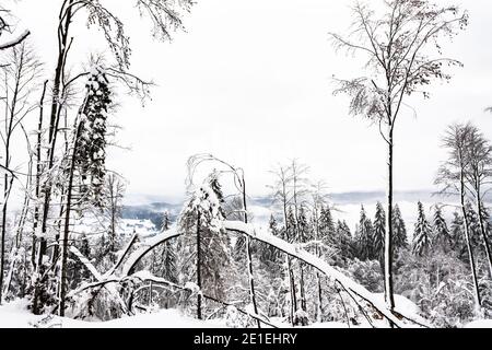 Winterlandschaft in Altopiano di Asiago nach starkem Schnee Sturm Stockfoto