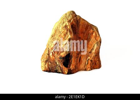 Stück fossiles Holz in Fernost von Russland gefunden Stockfoto