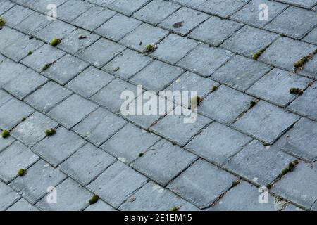 Alte Schiefer Dachziegel mit Moos und Flechten, Dach Hintergrund, Großbritannien Stockfoto