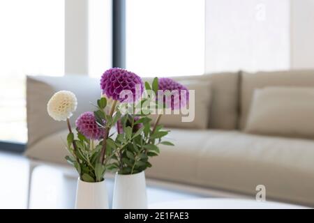 Nahaufnahme einer Vase mit Blumen, im Hintergrund ein Sofa Stockfoto