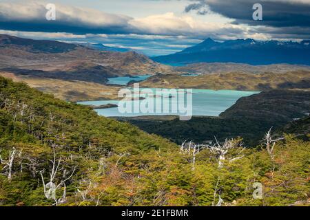 Lake Nordenskjold vom Mirador Valle Frances aus gesehen, Torres del Paine Nationalpark, Patagonien, Chile Stockfoto