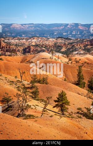 Malerische Aussicht auf Felsformationen vom Queens Garden Trail, Bryce Canyon National Park, Utah, USA Stockfoto