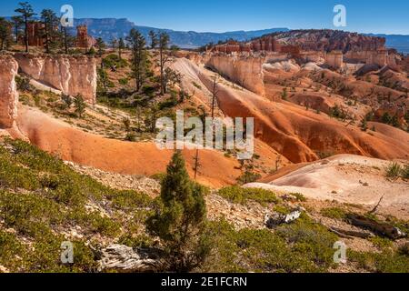 Malerische Aussicht auf Felsformationen vom Queens Garden Trail, Bryce Canyon National Park, Utah, USA Stockfoto