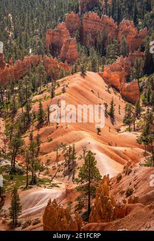 Malerische Aussicht auf Felsformationen vom Queens Garden Trail, Bryce Canyon National Park, Utah, USA Stockfoto