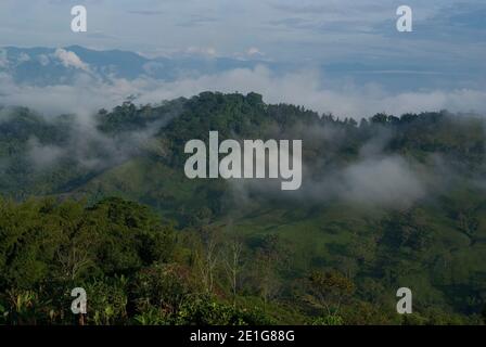 Blick auf das Tal von der Hacienda El Caney (Plantage), in der Kaffeeanbauregion, in der Nähe von Manizales, Kolumbien Stockfoto