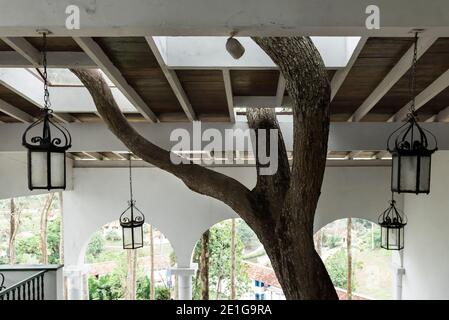 Moka Hotel gebaut Respekt der umliegenden Natur, ohne einen einzigen Baum zu schneiden. Las Terrazas, Kuba. Stockfoto