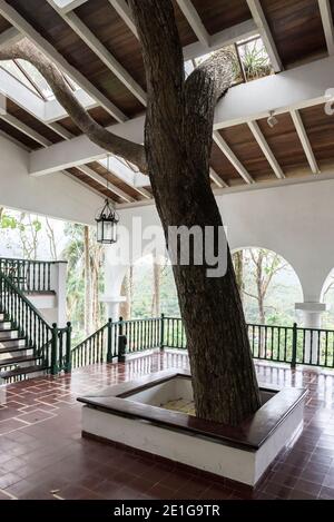 Moka Hotel gebaut Respekt der umliegenden Natur, ohne einen einzigen Baum zu schneiden. Las Terrazas, Kuba. Stockfoto