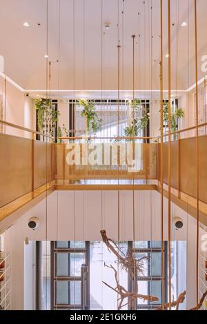 Innenansicht der hellen und luftigen Holistic Molecure Pharmacy in Taichung, Taiwan. Stockfoto