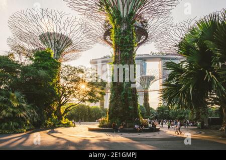 Sonnenuntergang bei den Supertrees at Gardens by the Bay, Singapur, mit Marina Bay Sands im Hintergrund. Stockfoto