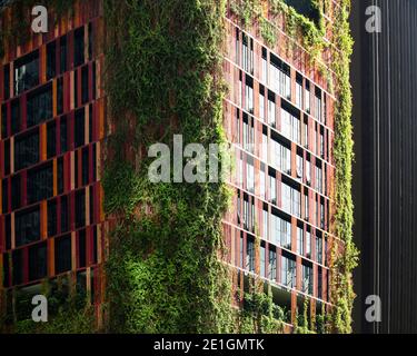 Außenansicht der grünen Fassade des Oasia Hotel Downtown in Singapurs CBD. Stockfoto