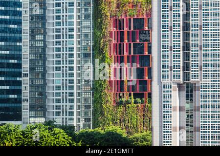 Außenansicht der grünen Fassade des Oasia Hotel Downtown in Singapurs CBD. Stockfoto