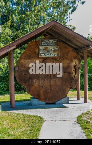 Kiwanis Club's Anacortes Veneer Douglas Fir log Querschnitt am Stadteingang zum Highway 20 in Anacortes, Washington. Stockfoto