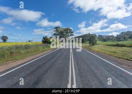 Typische Landstraße im Zentrum von New South Wales Australien zwischen Cowra und Canowindra. Diese Region hat produktive landwirtschaftliche Flächen für die Beweidung an Stockfoto