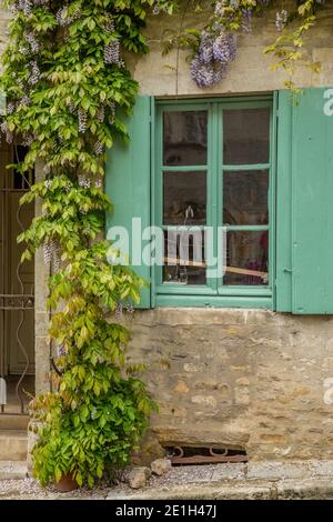 Grüne Fensterläden und Glyzinien in einem kleinen Dorf in Burgund, Frankreich Stockfoto