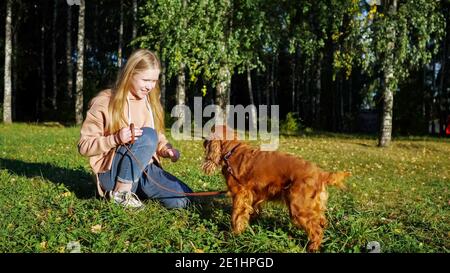 Fair haired Mädchen lächelt und spielt mit Ingwer russischen Spaniel Auf grünem Parkgras gegen Birken unter hellem Sonnenlicht Stockfoto