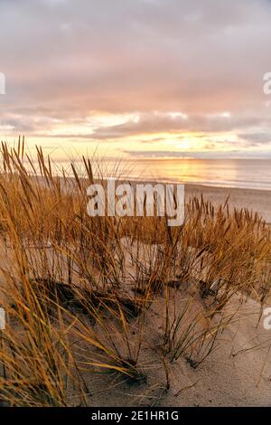 Hohe Dünen mit Dünengras und einem breiten Strand darunter Stockfoto