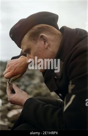 Frankreich - Frankreich in den 1940er Jahren. Le Havre - Deutsche Marine sailor Sammeln von Muscheln. Foto von Erich Andres. Ehestorf, deutscher Marinesoldat bei der muschelernte in Le Havre. Stockfoto