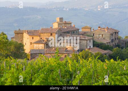 Weinberg und das mittelalterliche Dorf Volpaia in der Toskana, in der Nähe von Florenz in Chianti Italien Stockfoto