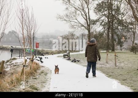 Carrigaline, Cork, Irland. Januar 2021. Schnee beginnt zu fallen, als Ross Fehily seinen Hund Toby um den Teich im Gemeinschaftspark in Carrigaline, Co. Cork, Irland, geht. - Credit; David Creedon / Alamy Live News Stockfoto