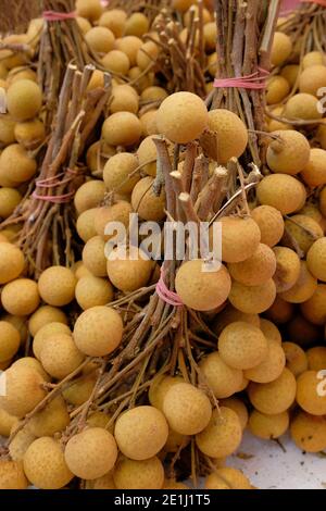Longan Früchte gebündelt zum Verkauf auf dem Markt. Abgesehen davon, dass sie roh gegessen werden, werden sie oft in asiatischen Suppen, Snacks, Desserts oder in Sirup konserviert verwendet Stockfoto