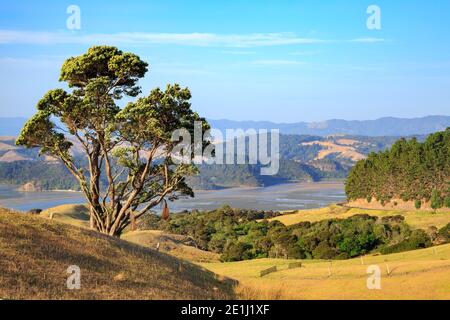 Die Aussicht vom Sattel der Manaia Road auf der Coromandel Peninsula, Neuseeland, mit Blick auf den Hafen von Manaia Stockfoto