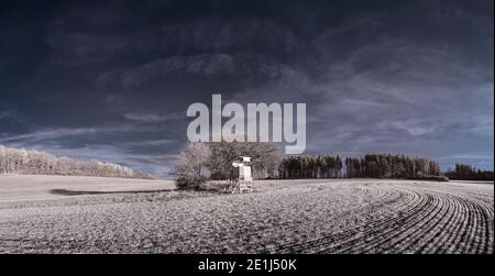 Infrarot-Fotografie - ir-Foto von Landschaft mit Baum unter Himmel mit Wolken - die Kunst unserer Welt und Pflanzen im Infrarotkameraspektrum Stockfoto