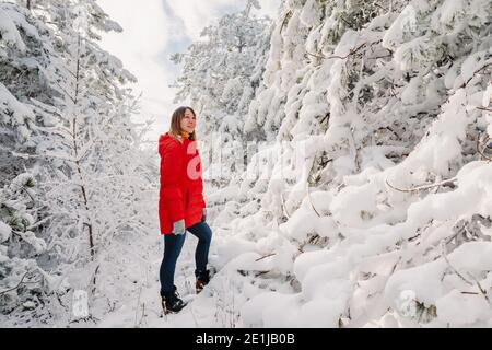 Junge Frau in roter Jacke zwischen verschneiten Bäumen im Winterwald. Reisende Frau mit Schneebäumen in sonnigen Tag Stockfoto
