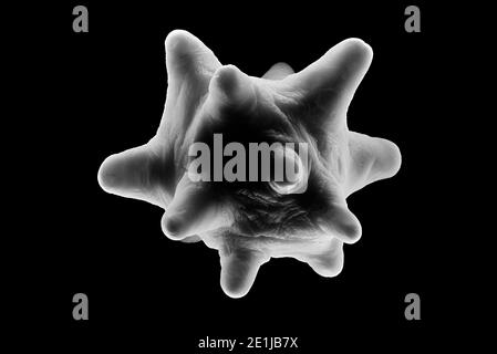 Unbekannte Zelle - Skulptur Stockfoto