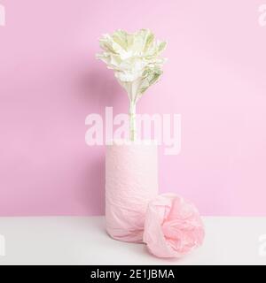 Zierkohl in einer Vase, eingewickelt mit rosa Papier auf rosa Hintergrund Stockfoto