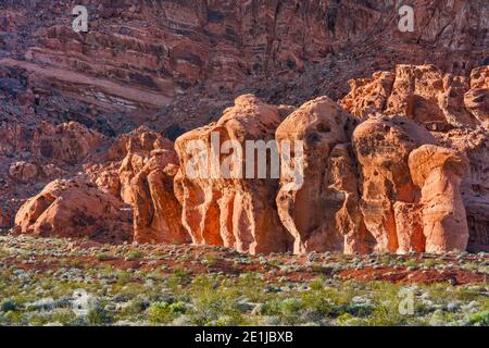 Sandsteinfelsen bei Sonnenuntergang im Valley of Fire State Park, Mojave Desert, Nevada, USA Stockfoto