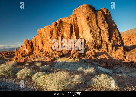 Weißen Kuppeln Road, Felsformationen aus Sandstein im Valley of Fire State Park, Mojave-Wüste, Nevada, USA Stockfoto