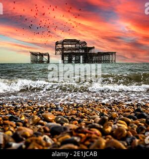 Brighton West Pier bei Sonnenuntergang mit einer Vogelschar Überfliegen Stockfoto