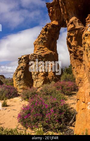 Ein schmaler Sandsteinbogen, an den Stadsaal Höhlen in den Cederberg Bergen in Südafrika Stockfoto